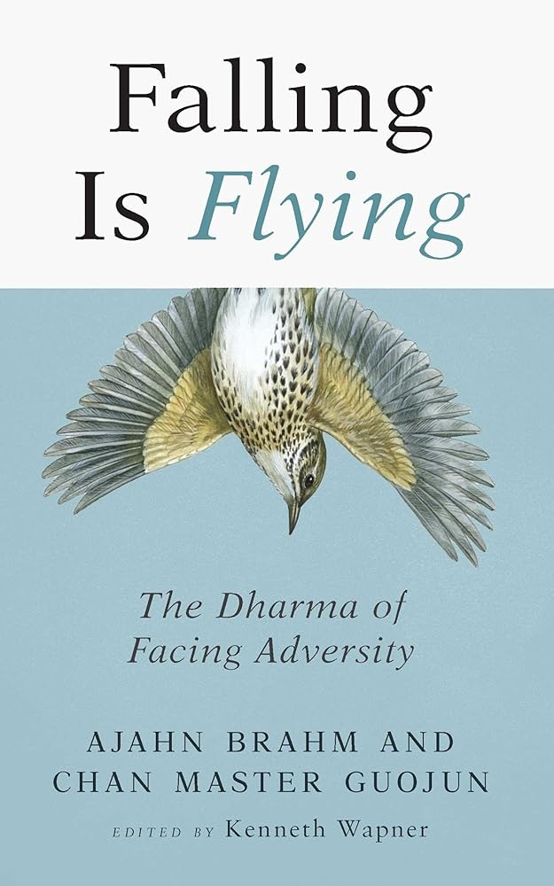 Falling is Flying: The Dharma of Facing Adversity (1) cover image