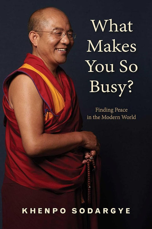 What Makes You So Busy?: Finding Peace in the Modern World cover image