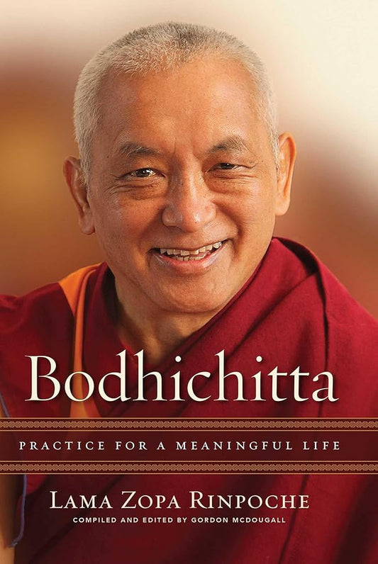 Bodhichitta: Practice for a Meaningful Life cover image