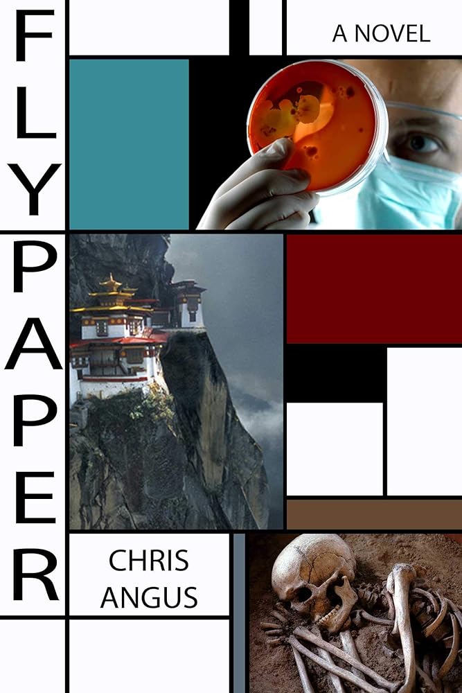Flypaper: A Novel cover image