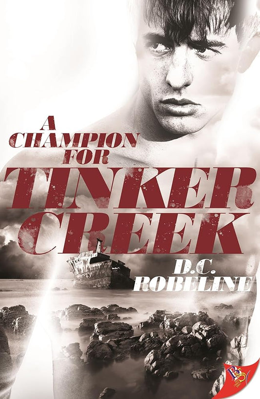 A Champion for Tinker Creek (Tinker Creek Series, 1) cover image