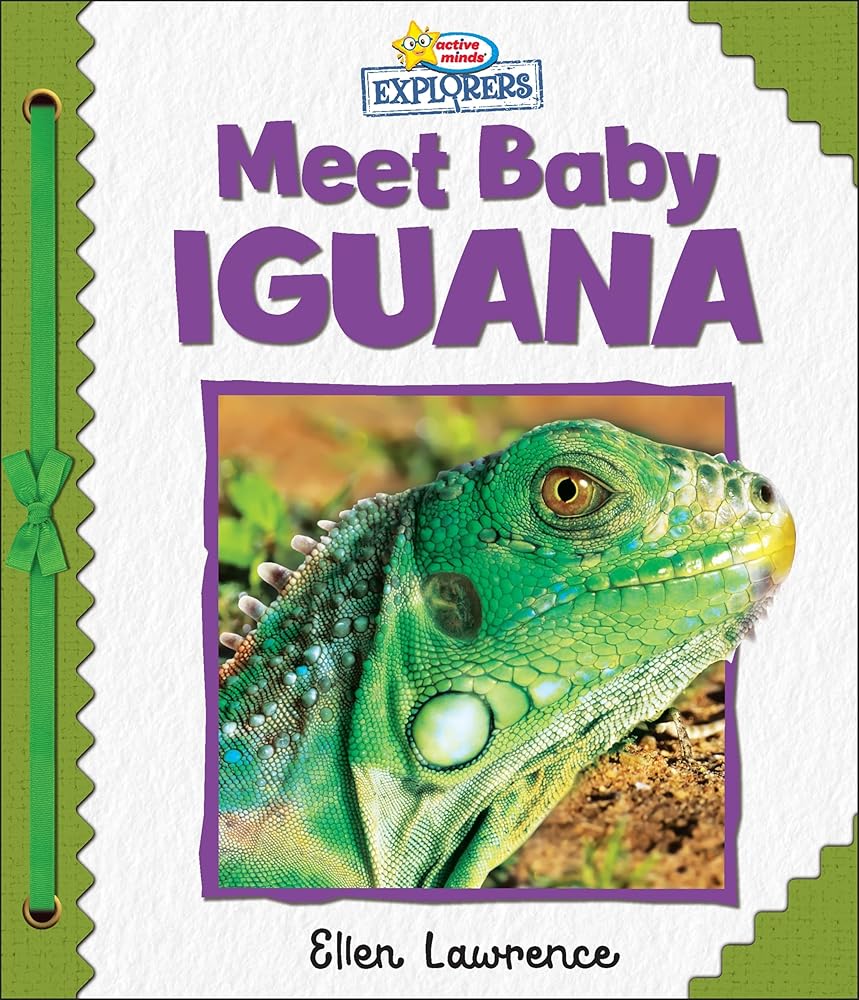 Active Minds Explorers: Meet Baby Iguana cover image