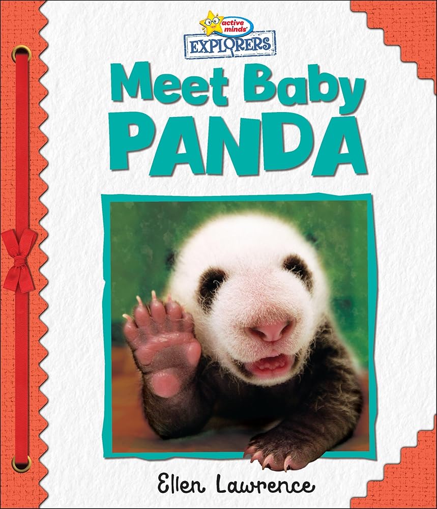 Active Minds Explorers: Meet Baby Panda cover image