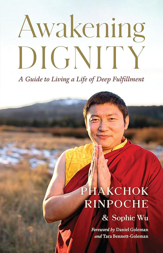 Awakening Dignity: A Guide to Living a Life of Deep Fulfillment cover image