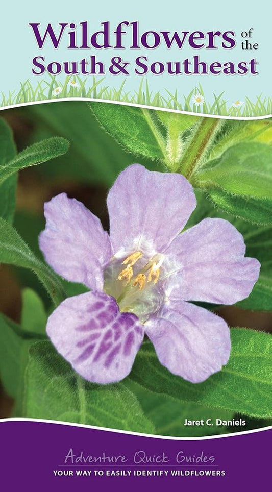 Wildflowers of the South & Southeast: Your Way to Easily Identify Wildflowers (Adventure Quick Guides) cover image