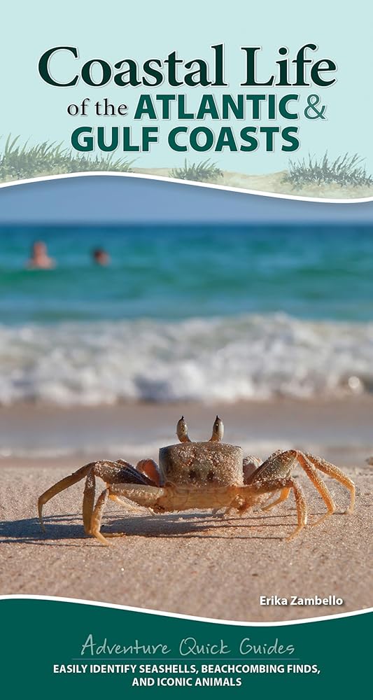 Coastal Life of the Atlantic and Gulf Coasts: Easily Identify Seashells, Beachcombing Finds, and Iconic Animals (Adventure Quick Guides) cover image