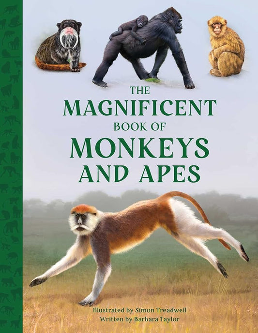 The Magnificent Book of Monkeys and Apes cover image