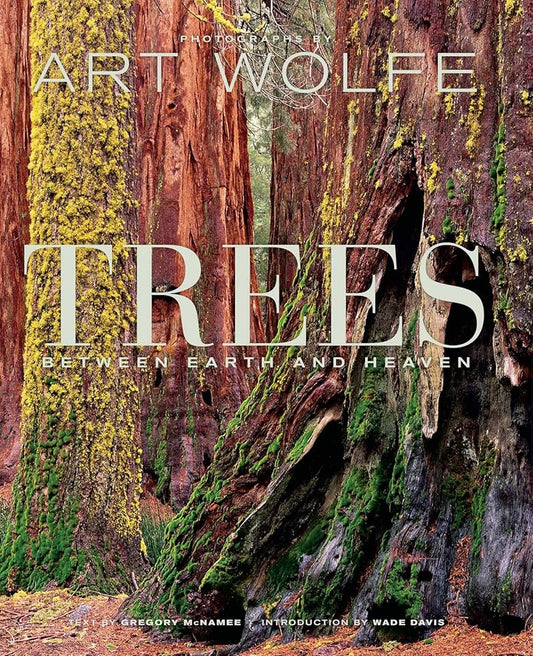 Trees: Between Earth and Heaven cover image