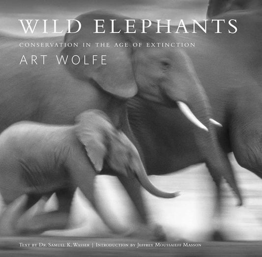 Wild Elephants: Conservation in the Age of Extinction cover image