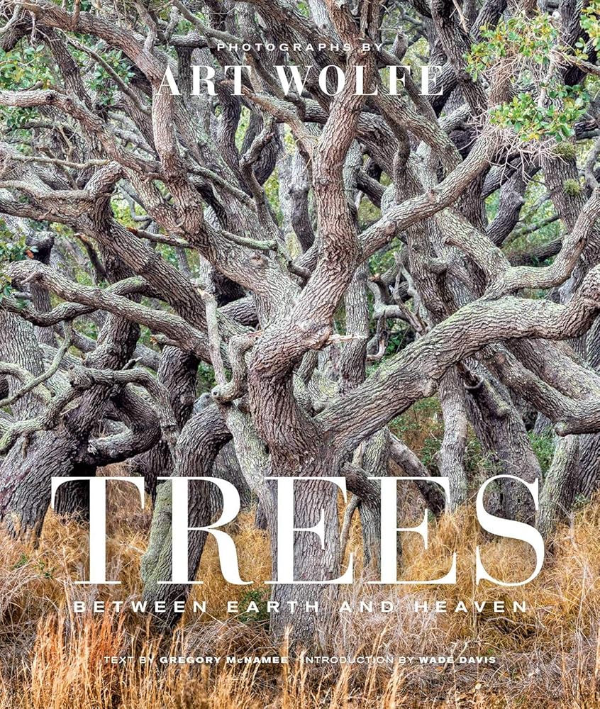 Trees (Gift Edition): Between Earth and Heaven cover image