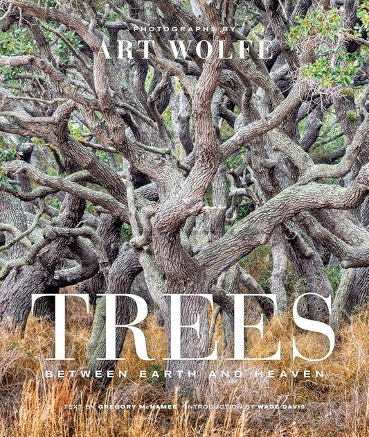 Trees (Gift Edition): Between Earth and Heaven cover image