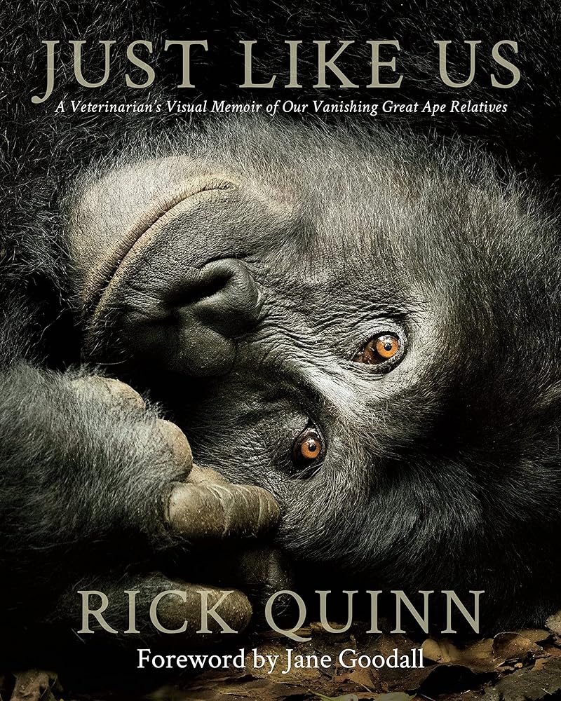 Just Like Us: A Veterinarian’s Visual Memoir of Our Vanishing Great Ape Relatives cover image