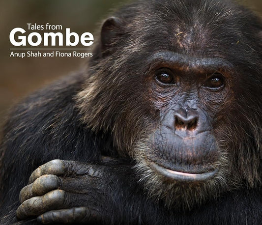 Tales From Gombe cover image
