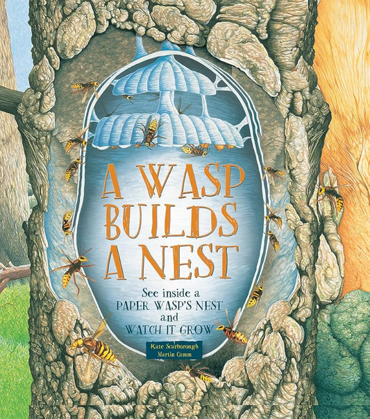 A Wasp Builds a Nest: See Inside a Paper Wasp's Nest and Watch It Grow cover image