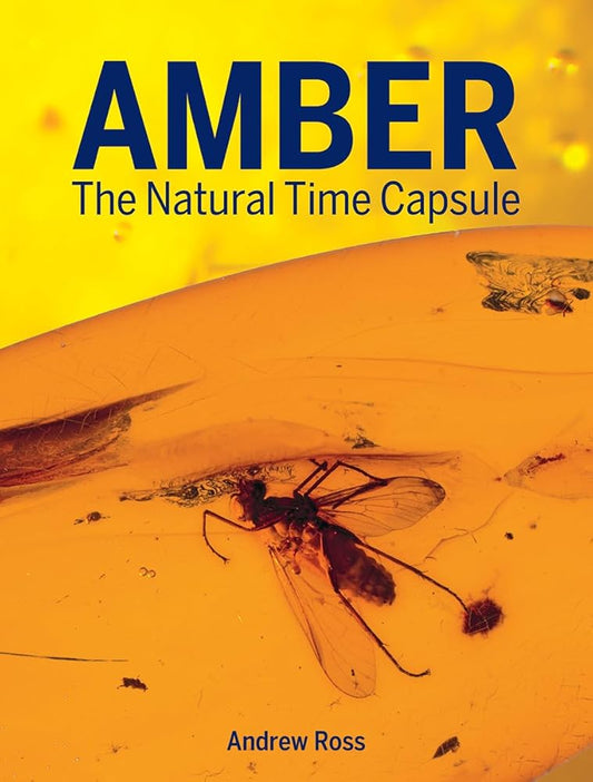 Amber: The Natural Time Capsule cover image