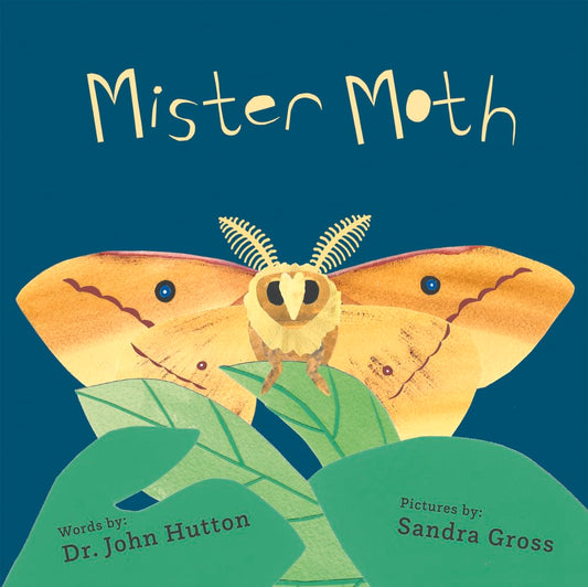 Mister Moth cover image