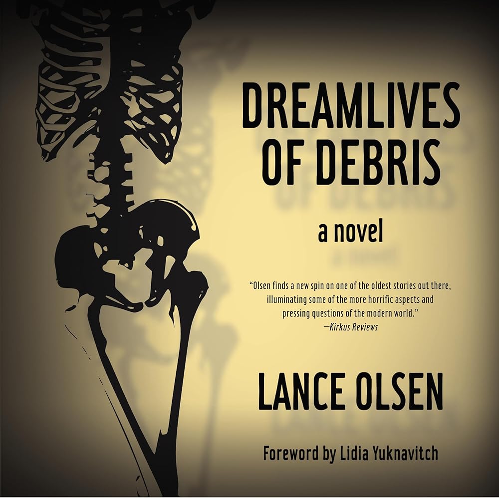 Dreamlives of Debris cover image