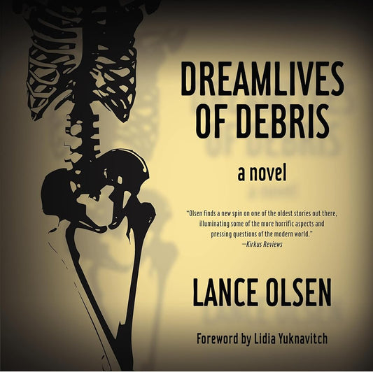 Dreamlives of Debris cover image