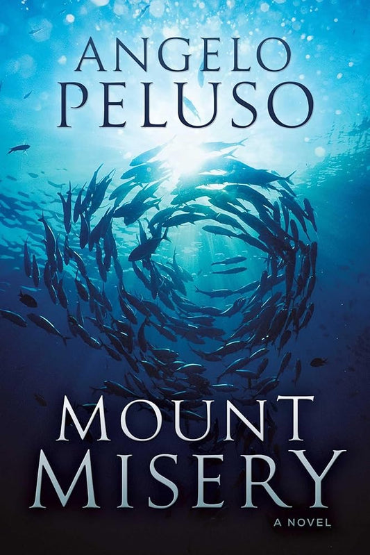 Mount Misery: A Novel cover image