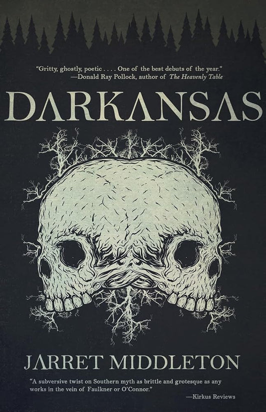 Darkansas: A Novel cover image