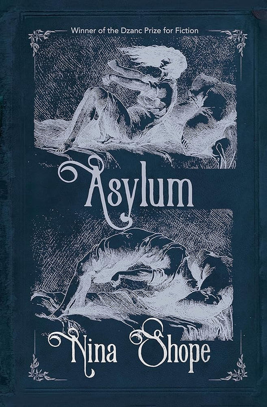 Asylum cover image