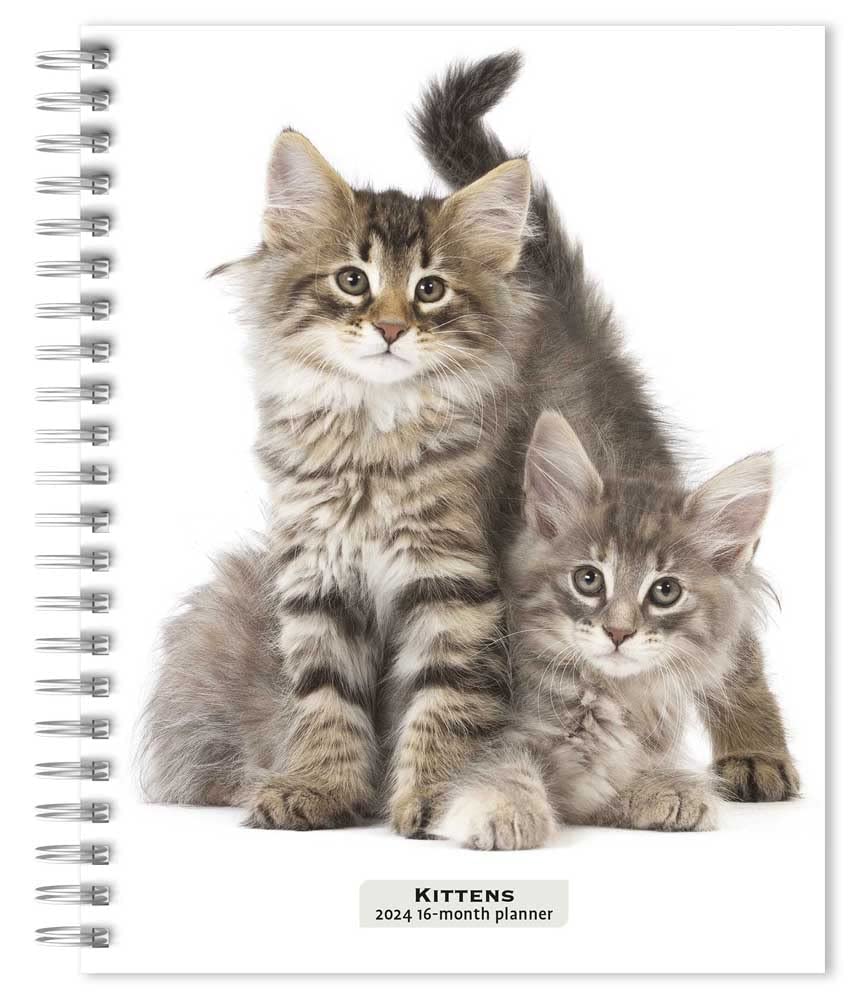 Kittens | 2024 6 x 7.75 Inch Spiral-Bound Wire-O Weekly Engagement Planner Calendar | New Full-Color Image Every Week | BrownTrout | Animals Cats Pets cover image