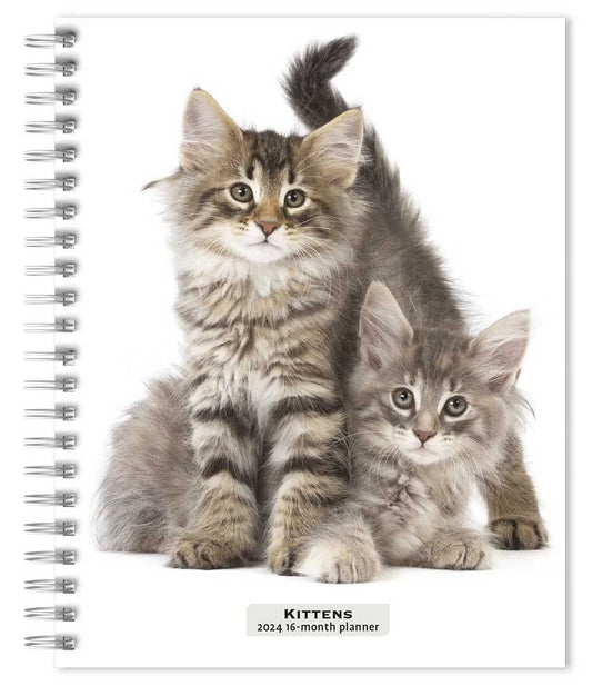 Kittens | 2024 6 x 7.75 Inch Spiral-Bound Wire-O Weekly Engagement Planner Calendar | New Full-Color Image Every Week | BrownTrout | Animals Cats Pets cover image