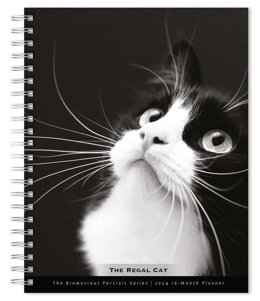 The BrownTrout Portrait Series: The Regal Cat | 2024 6 x 7.75 Inch Spiral-Bound Wire-O Weekly Engagement Planner Calendar | New Full-Color Image Every Week | Pet Kitten Feline cover image