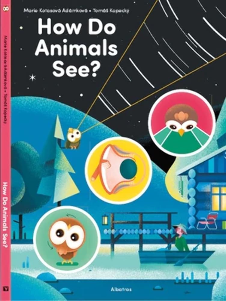 How Do Animals See? cover image
