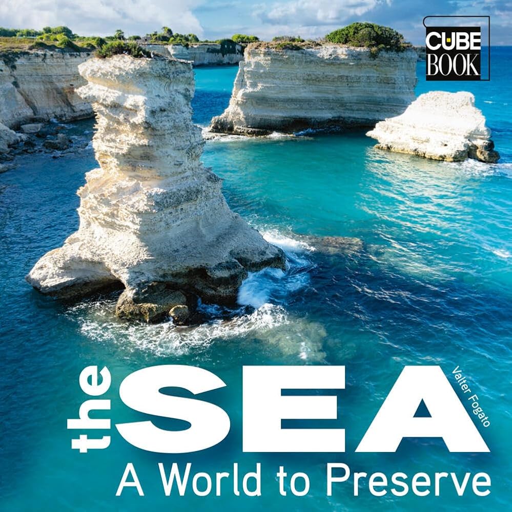 The Sea: A World to Preserve (CubeBook) cover image