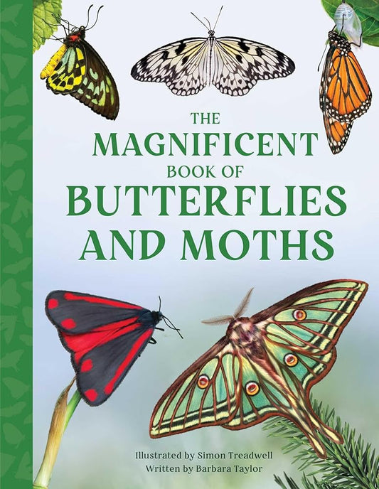 The Magnificent Book of Butterflies and Moths cover image