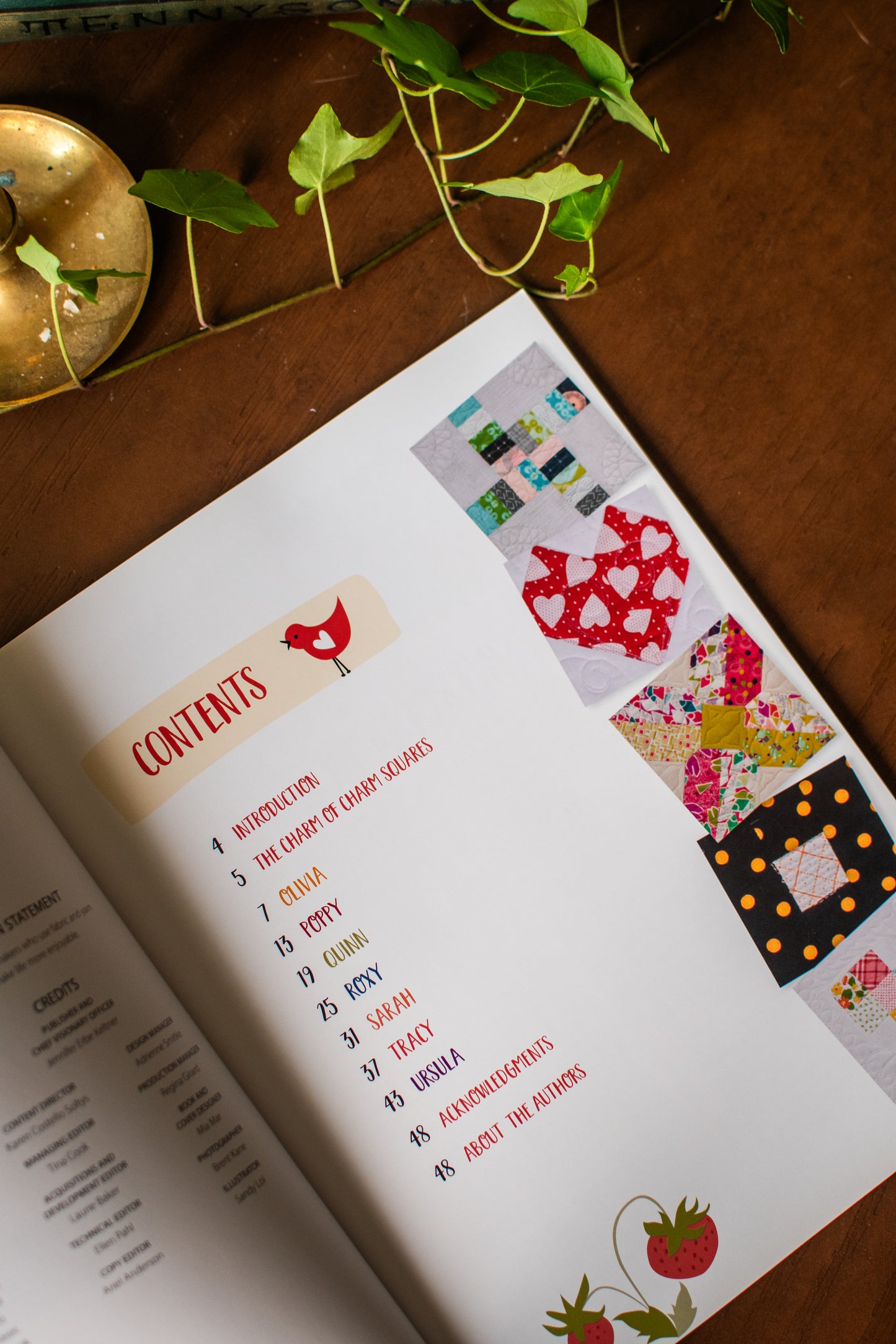 That Patchwork Place Third Time's a Charm Quilting Book