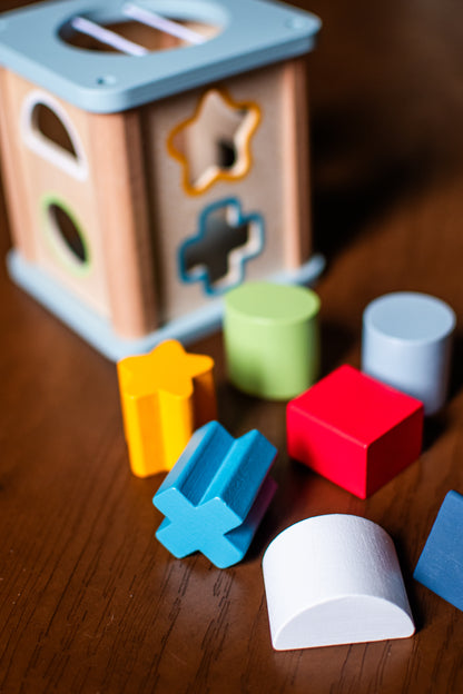 Shape Sorter Toy for Toddlers | Educational Shape & Color Learning Activity