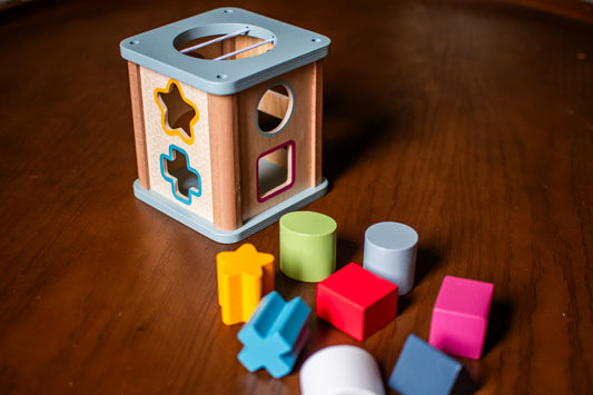 Shape Sorter Toy for Toddlers | Educational Shape & Color Learning Activity