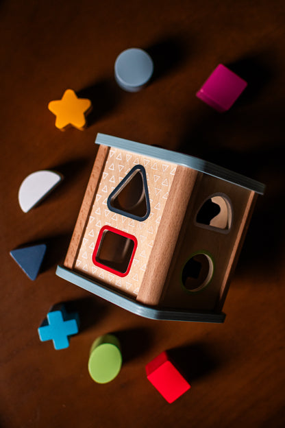 Shape Sorter Toy for Toddlers | Educational Shape & Color Learning Activity