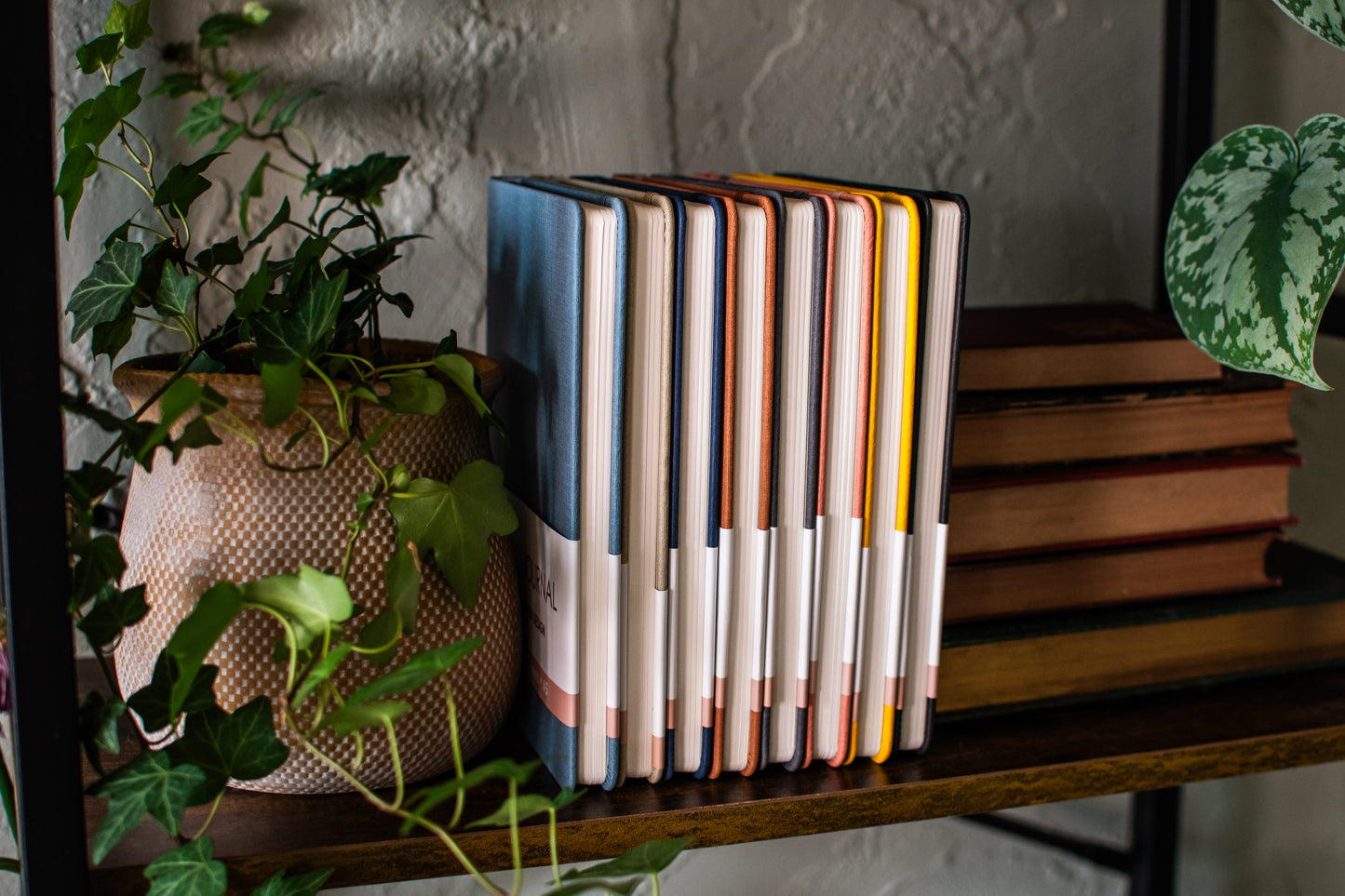 8 Colorful Journals