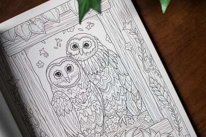 Farm Sweet Farm Coloring Book