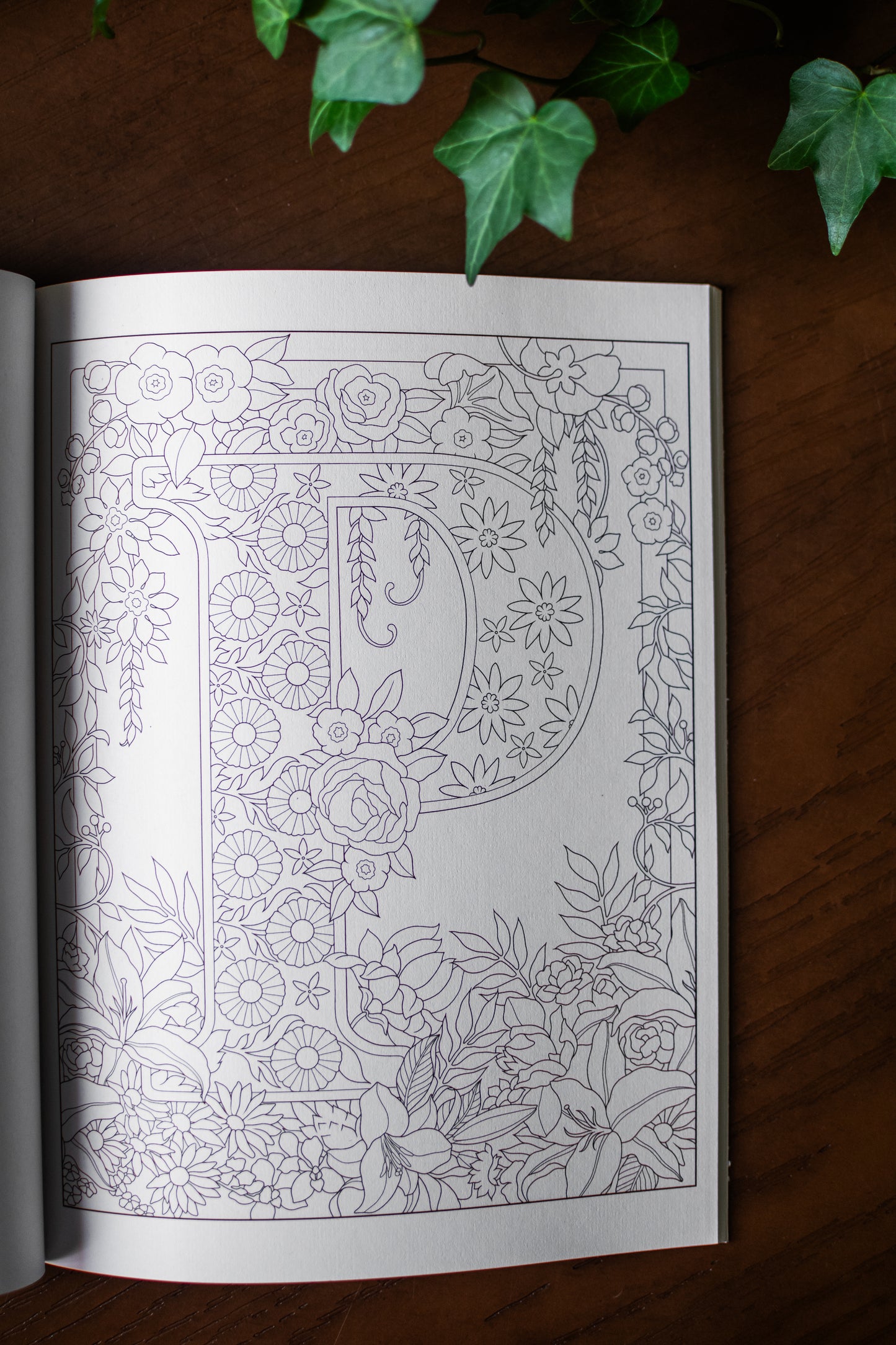 Creative Haven Beautiful Floral Alphabet Designs Coloring Book