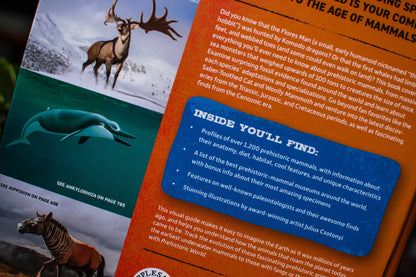 Prehistoric World: Over 1,200 Incredible Mammals and Discoveries from the Mesozoic and Cenozoic