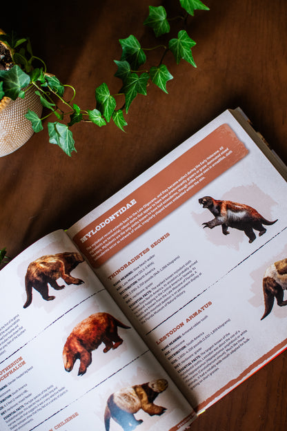 Prehistoric World: Over 1,200 Incredible Mammals and Discoveries from the Mesozoic and Cenozoic