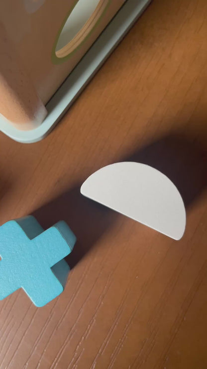 Shape Sorter Toy for Toddlers | Educational Shape & Color Learning Activity