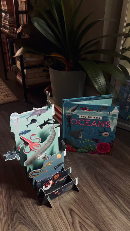 Big Builds: Oceans