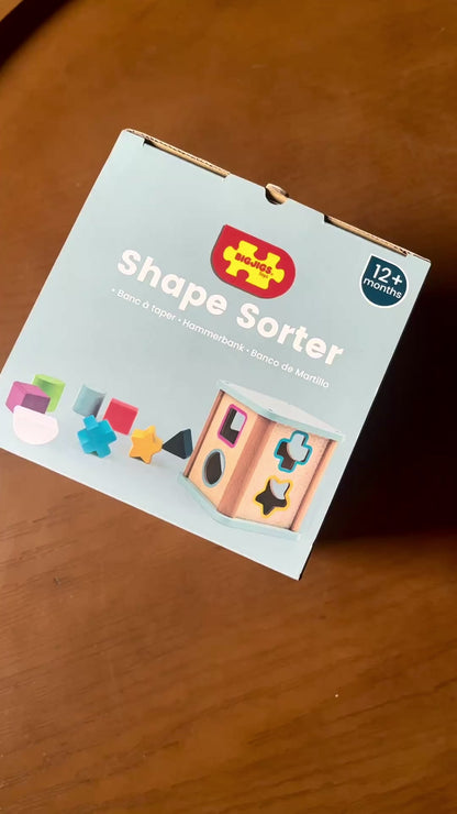 Shape Sorter Toy for Toddlers | Educational Shape & Color Learning Activity